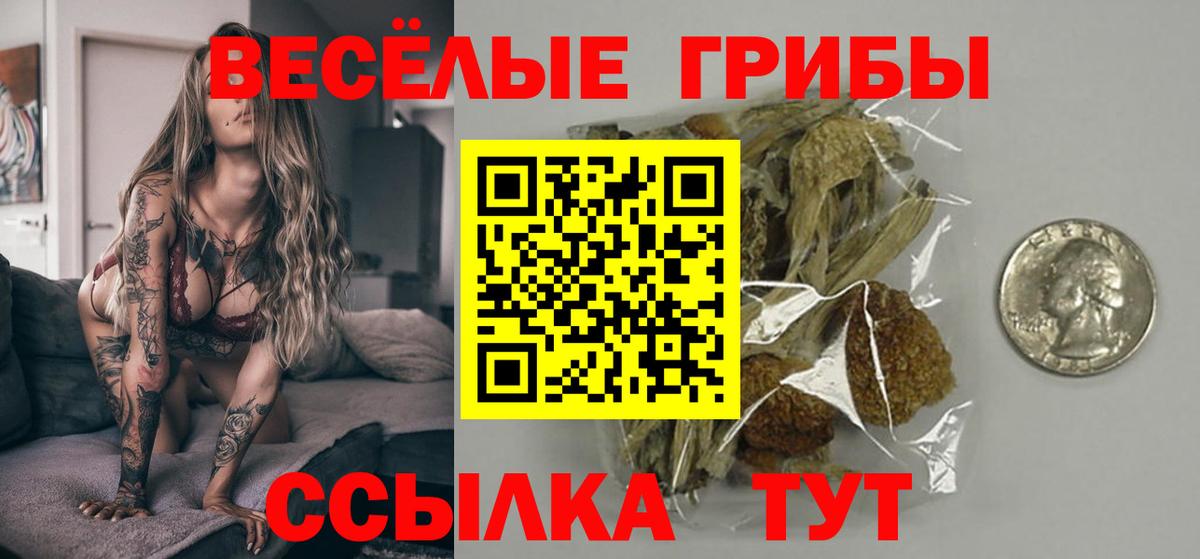 Галлюциногенные грибы GOLDEN TEACHER  купить   Бийск  Вход с VPN 